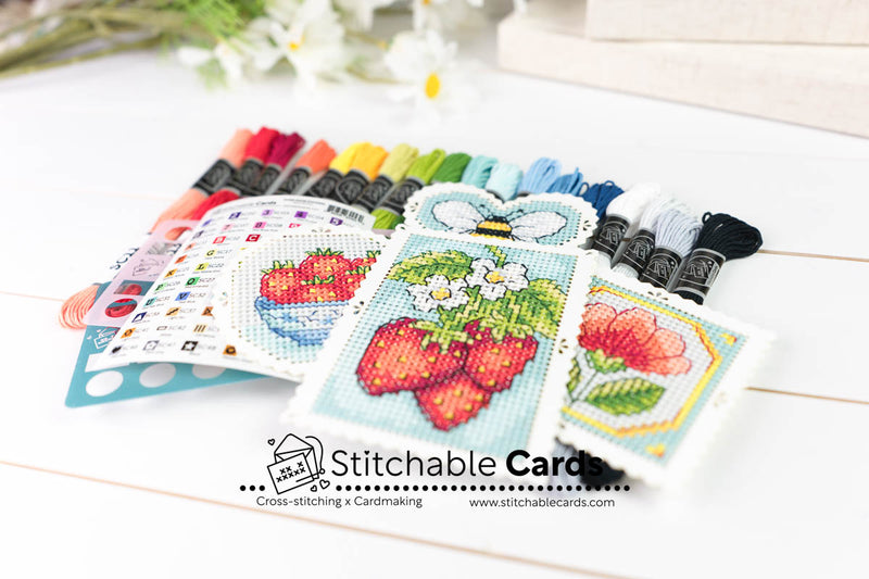 Susan Bates Stitching Kits - Bi-monthly Subscription (US Shipping Included)