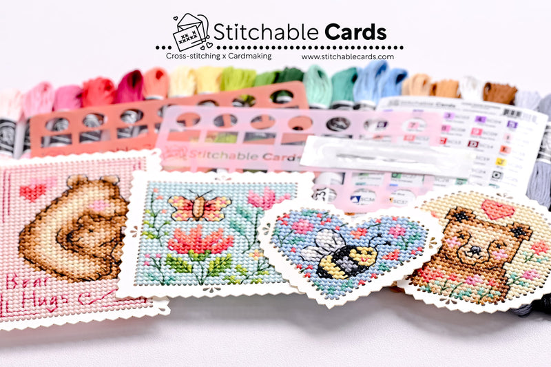 Susan Bates Stitching Kits - Bi-monthly Subscription (US Shipping Included)