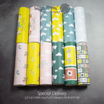 Special Delivery Paper Pad
